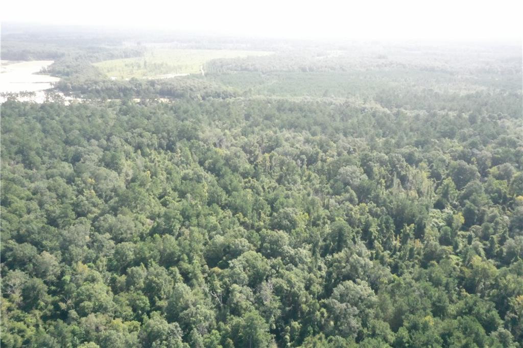 Bob Magee Road, Franklinton, Louisiana image 14