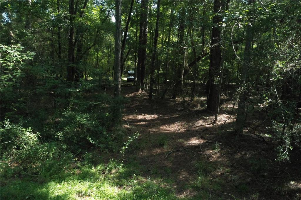 Bob Magee Road, Franklinton, Louisiana image 16