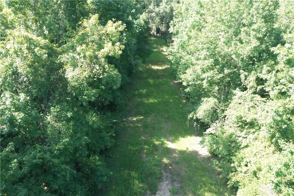 Bob Magee Road, Franklinton, Louisiana image 19