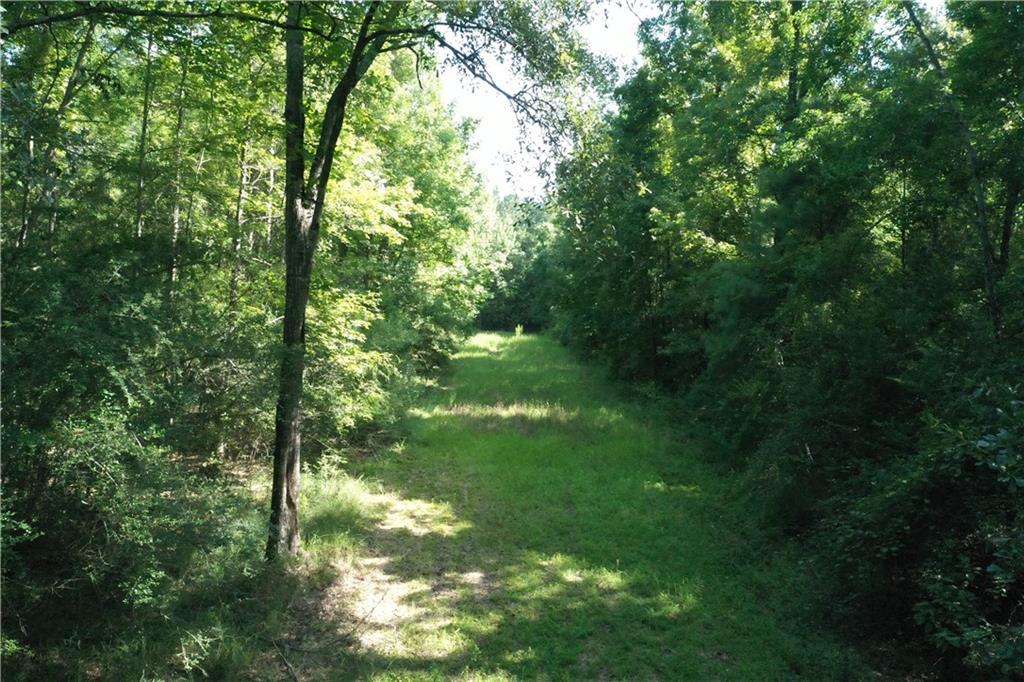 Bob Magee Road, Franklinton, Louisiana image 20