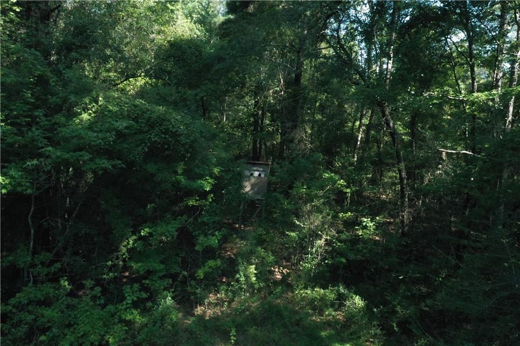 Bob Magee Road, Franklinton, Louisiana image 6