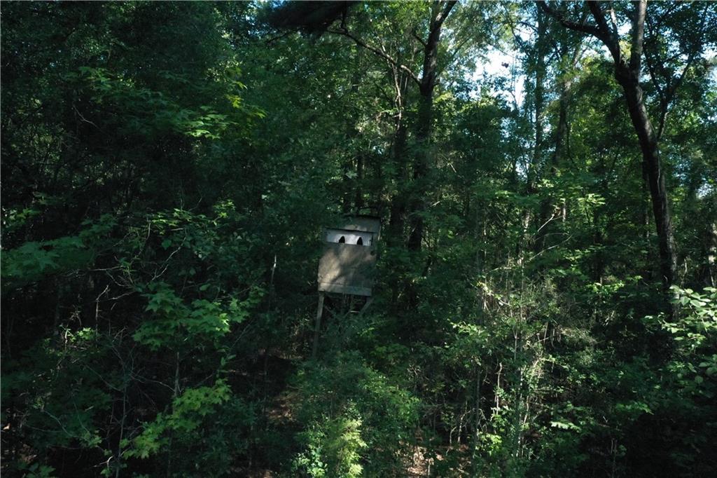 Bob Magee Road, Franklinton, Louisiana image 7