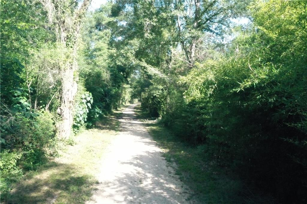 Bob Magee Road, Franklinton, Louisiana image 8