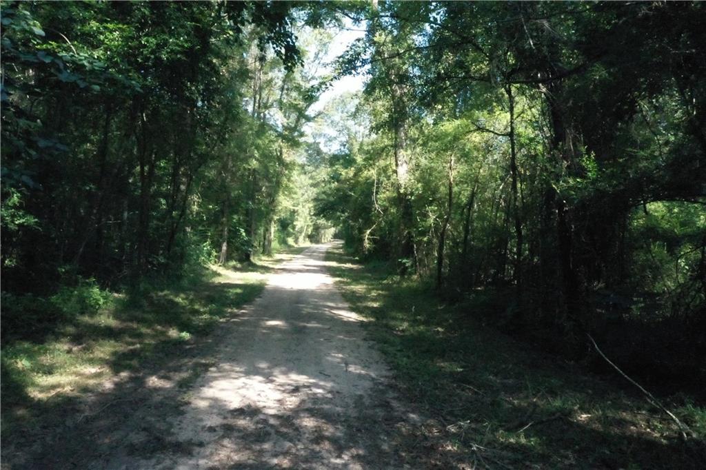 Bob Magee Road, Franklinton, Louisiana image 9