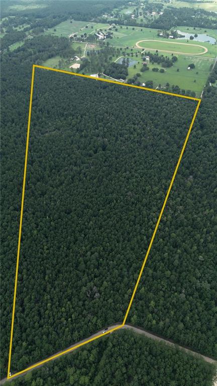 102 Acres Bruhl Road, Folsom, Louisiana image 1