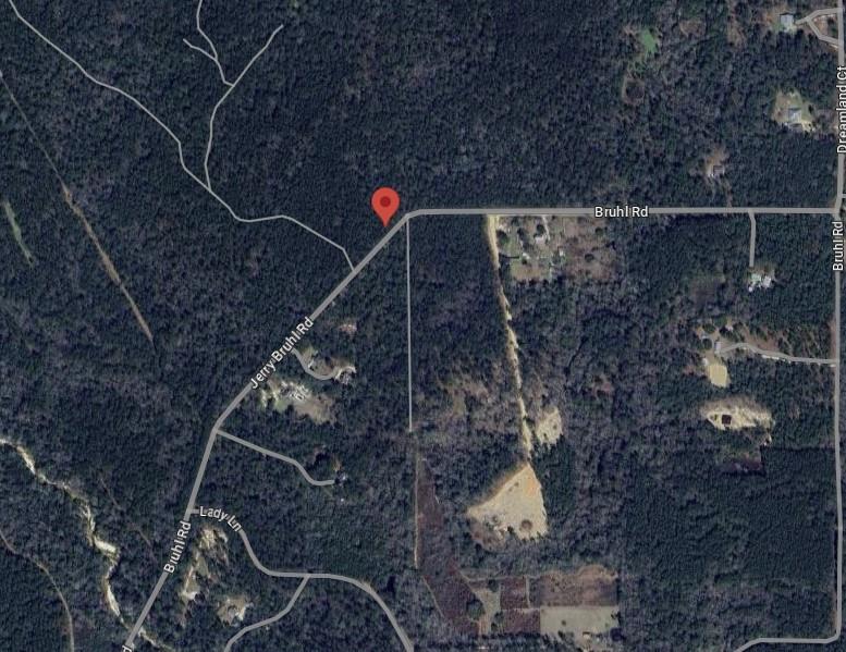 102 Acres Bruhl Road, Folsom, Louisiana image 2