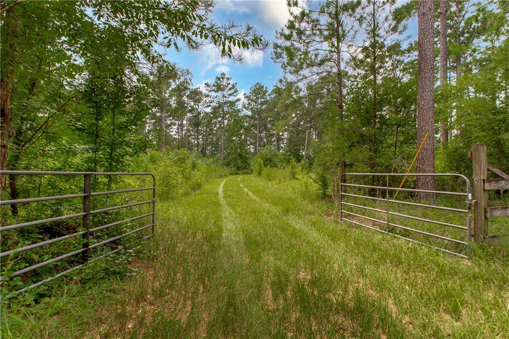 18635 Sanders Road, Franklinton, Louisiana image 1