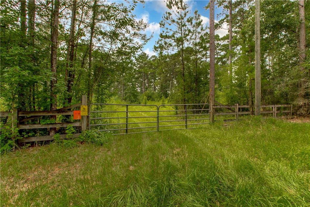 18635 Sanders Road, Franklinton, Louisiana image 12