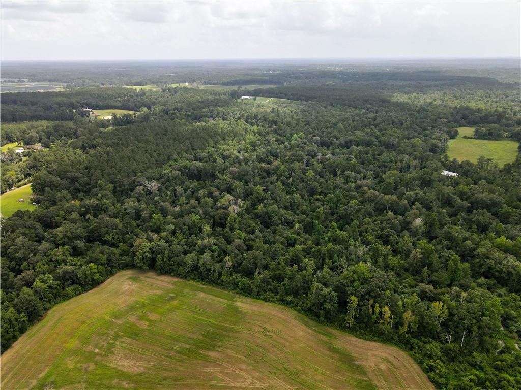 18635 Sanders Road, Franklinton, Louisiana image 14