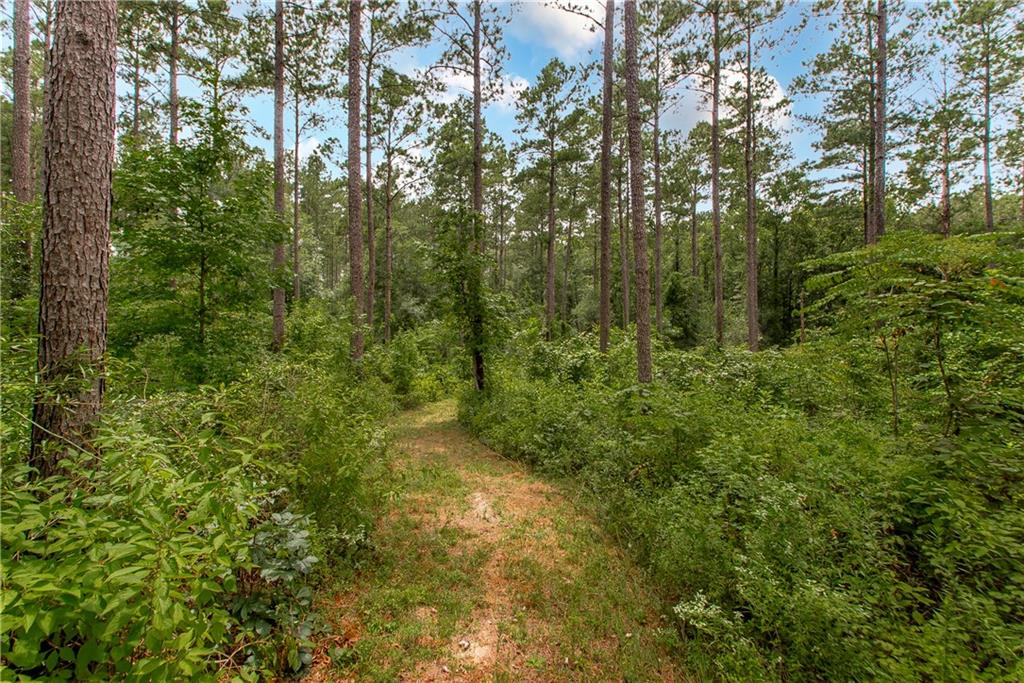 18635 Sanders Road, Franklinton, Louisiana image 4