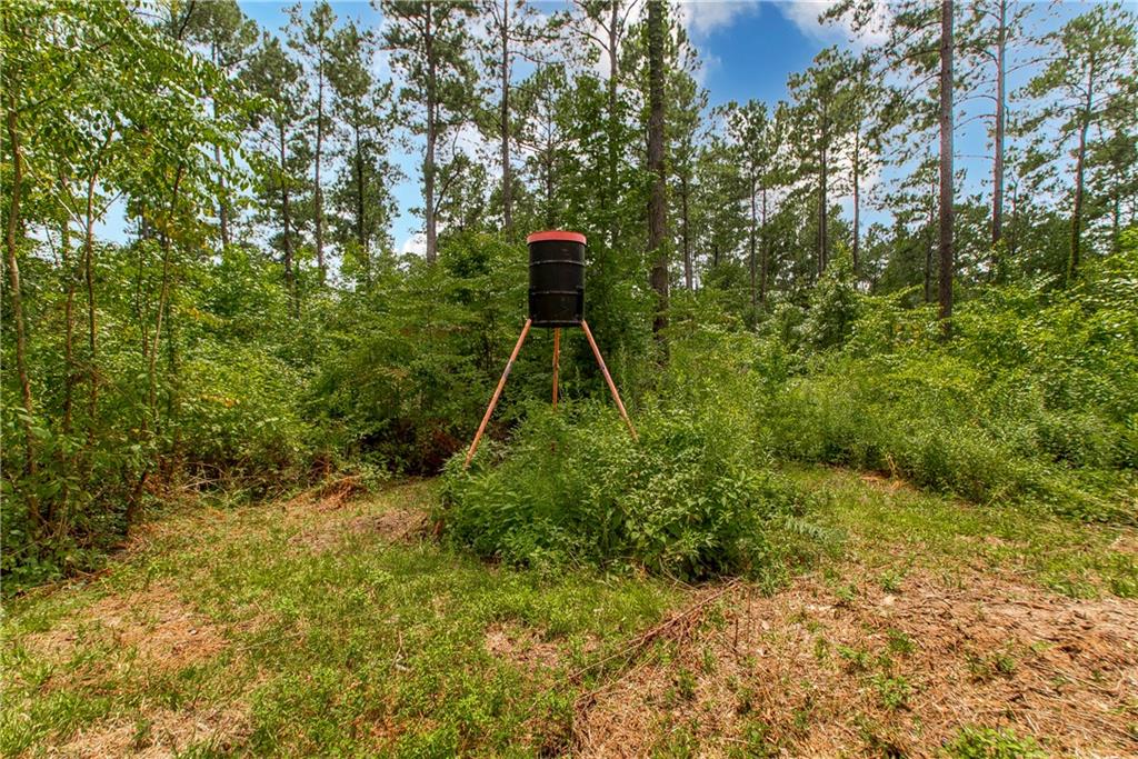 18635 Sanders Road, Franklinton, Louisiana image 9