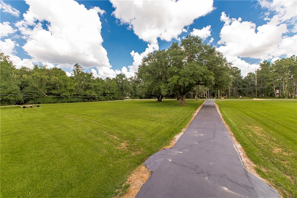 25098 Harvey Lavigne Road, Ponchatoula, Louisiana image 31