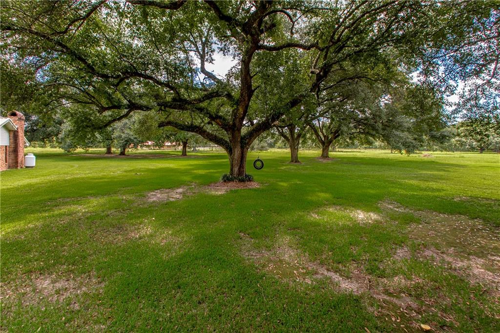 25098 Harvey Lavigne Road, Ponchatoula, Louisiana image 36