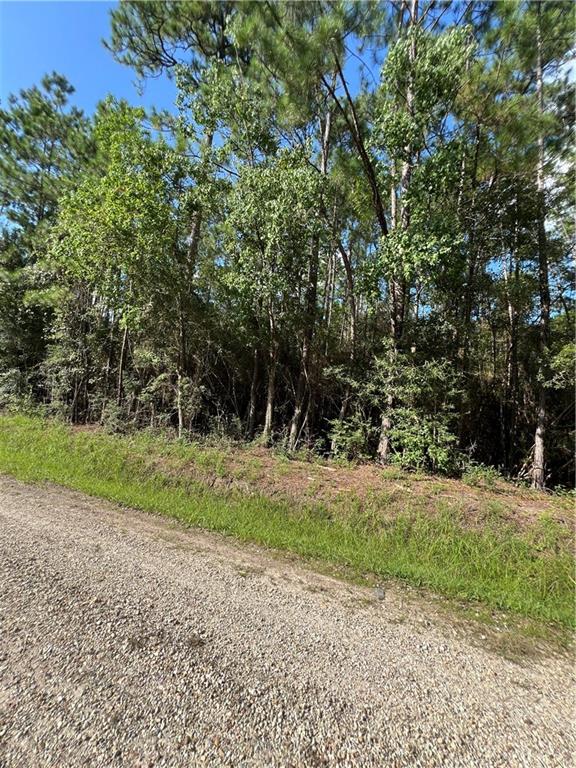 Lot 142 Francis Quimet Drive, Abita Springs, Louisiana image 4