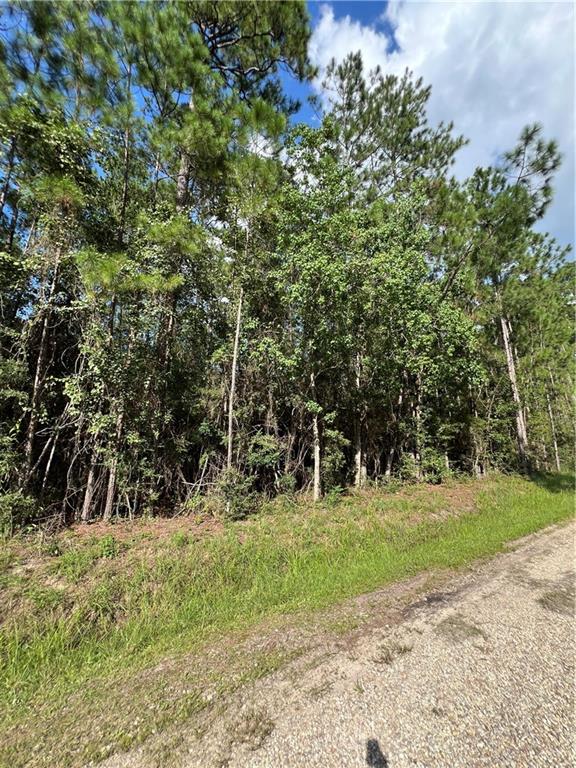 Lot 142 Francis Quimet Drive, Abita Springs, Louisiana image 5