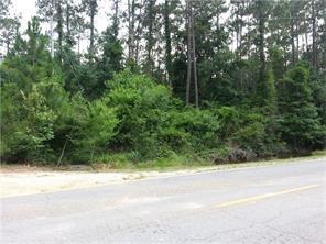 23080 Highway 36 Highway, Abita Springs, Louisiana image 3