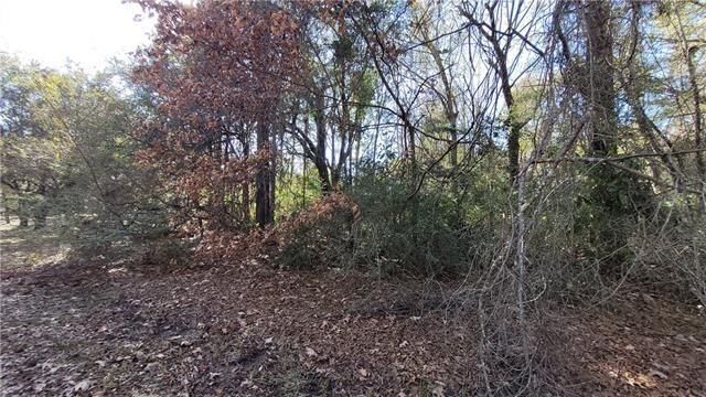 Alford Lane, Bogalusa, Louisiana image 1