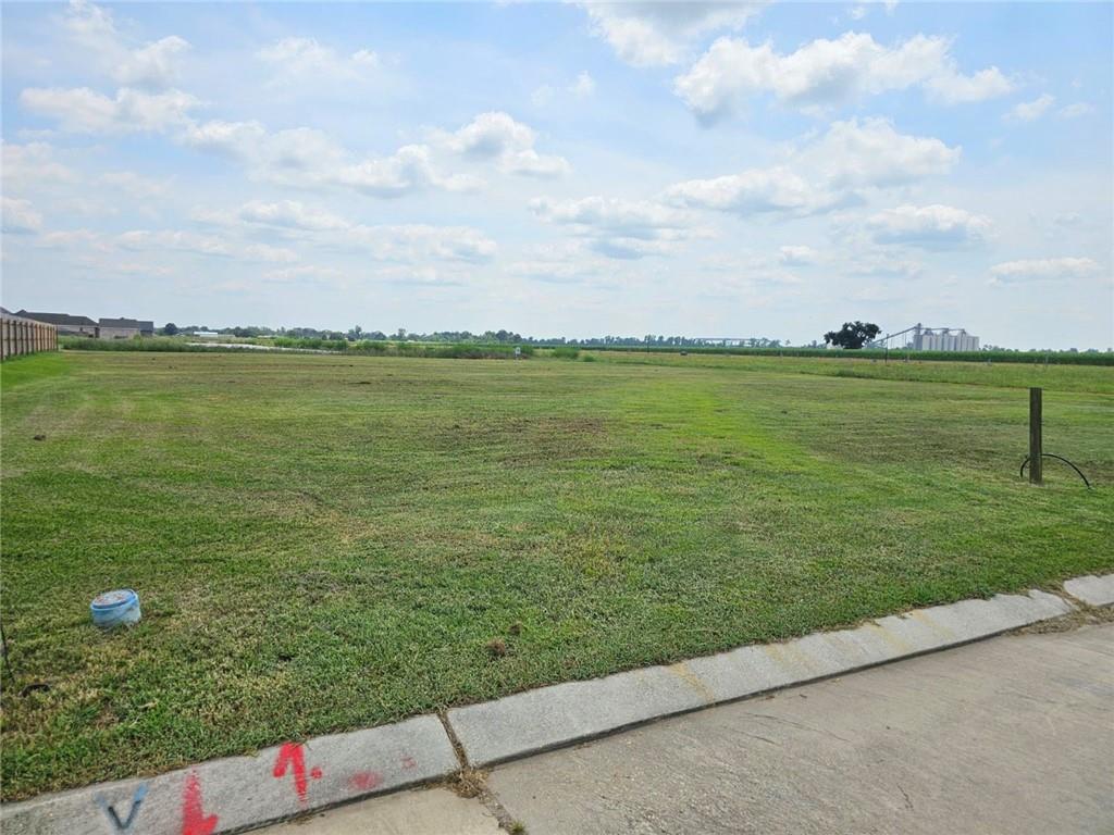 2505 Bellevue Lakes Street, Paulina, Louisiana image 1