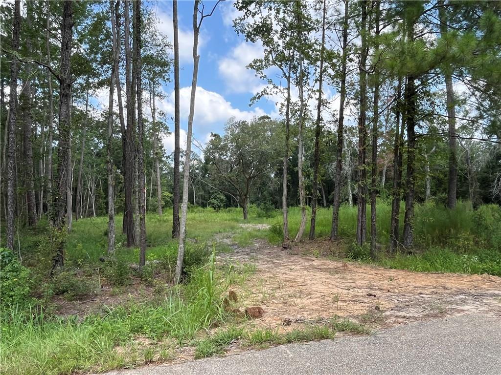 433 Secluded Grove Loop, Madisonville, Louisiana image 1