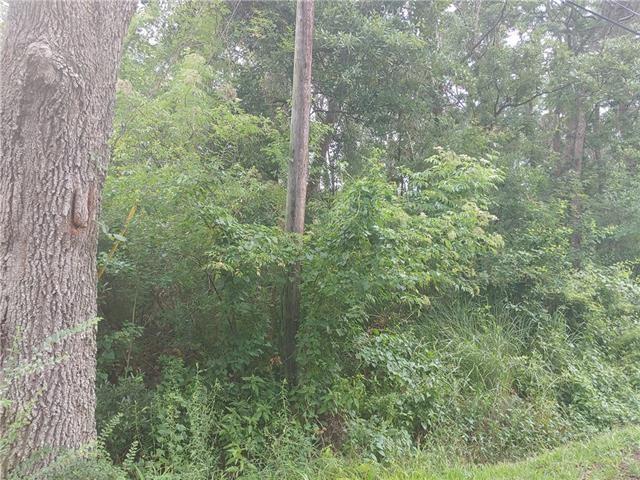 TBD Renell Drive, Slidell, Louisiana image 1