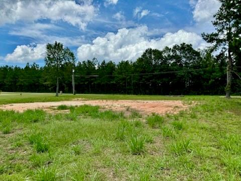 00 Peach Orchard Road, Bogalusa, Louisiana image 1