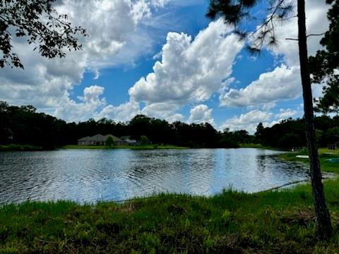 00 Peach Orchard Road, Bogalusa, Louisiana image 2