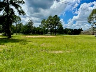 00 Peach Orchard Road, Bogalusa, Louisiana image 3