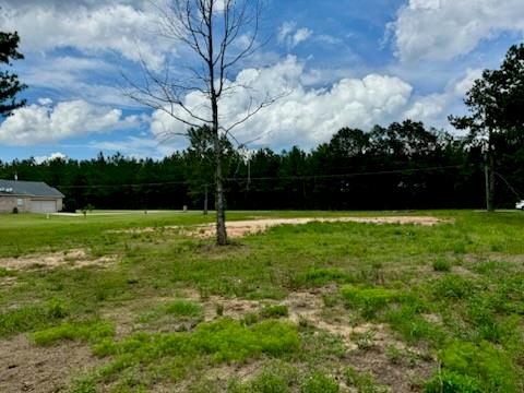 00 Peach Orchard Road, Bogalusa, Louisiana image 4