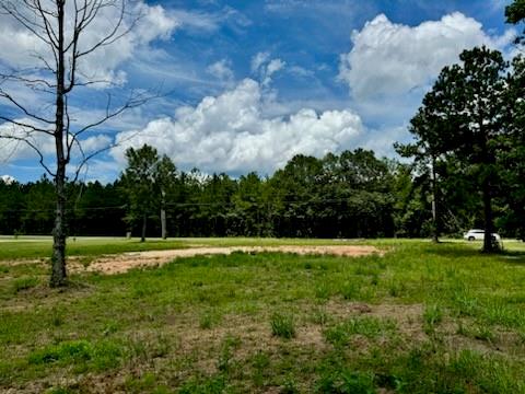 00 Peach Orchard Road, Bogalusa, Louisiana image 5