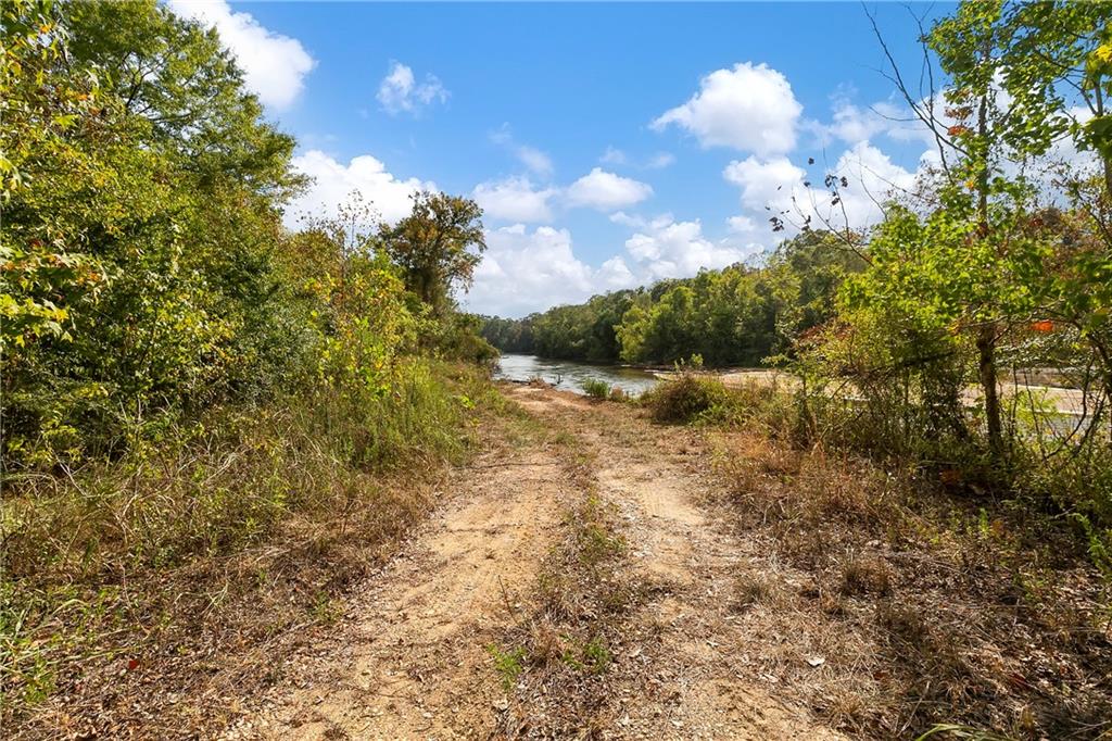 PARCEL D 17309 Hwy 16 Highway, Franklinton, Louisiana image 8