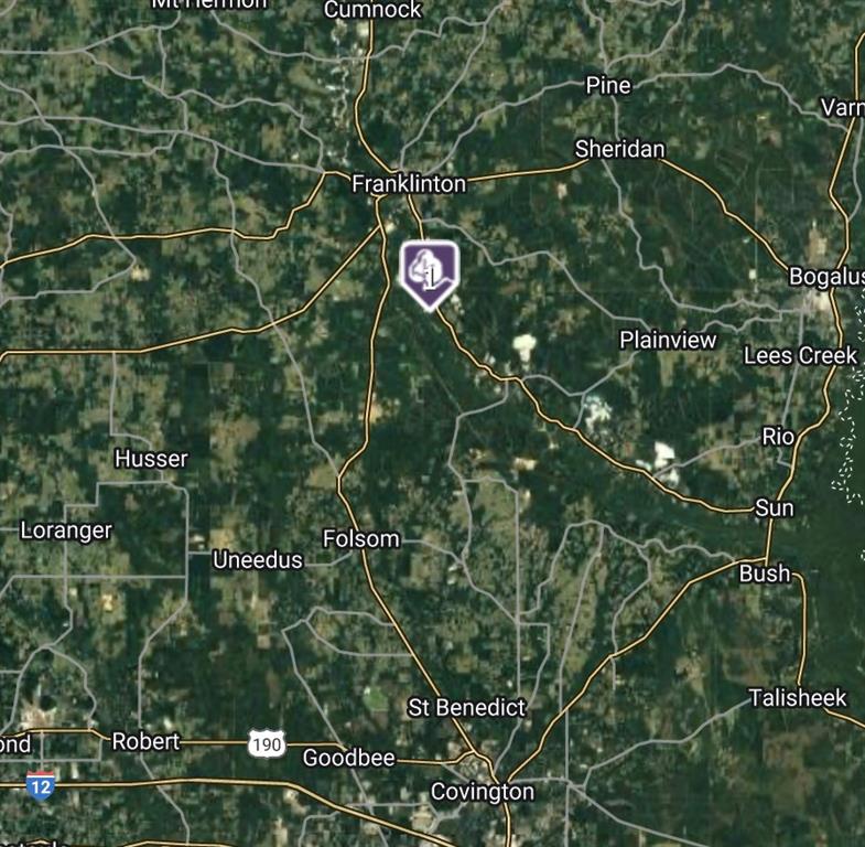 PARCEL D 17309 Hwy 16 Highway, Franklinton, Louisiana image 9