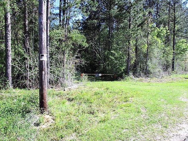 202 Acres Prison Road, Angie, Louisiana image 4