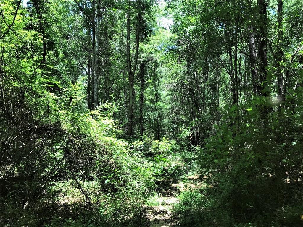 93 Acres Laverne Crain Road, Angie, Louisiana image 10