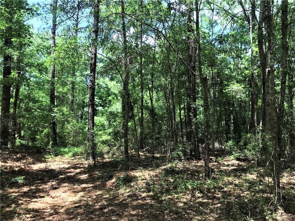 93 Acres Laverne Crain Road, Angie, Louisiana image 9