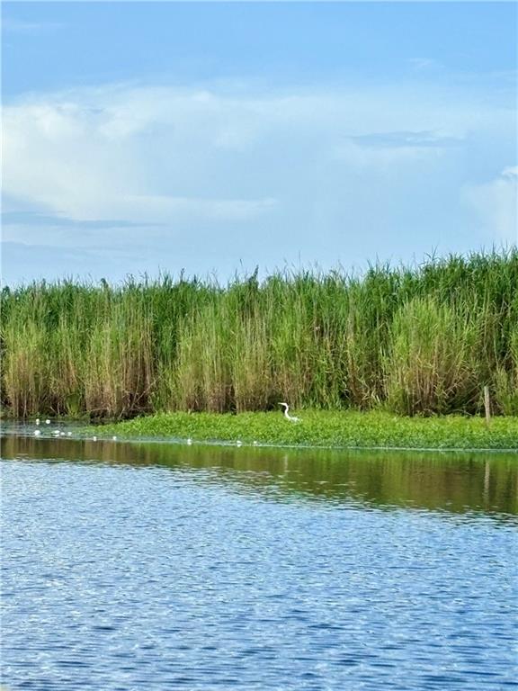 Bertha Lane, Lacombe, Louisiana image 3