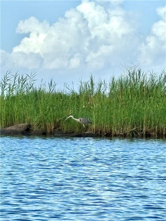 Lucille Drive, Lacombe, Louisiana image 2