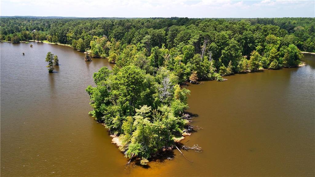 Miller Road, Boyce, Louisiana image 7