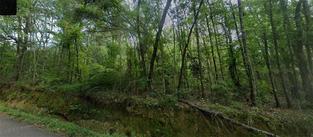 Old Uneedus Road, Loranger, Louisiana image 1