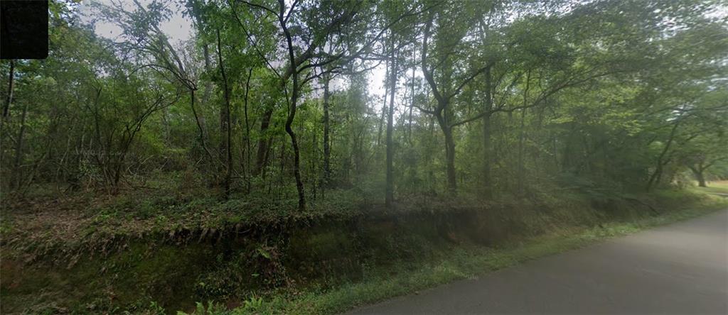 Old Uneedus Road, Loranger, Louisiana image 2