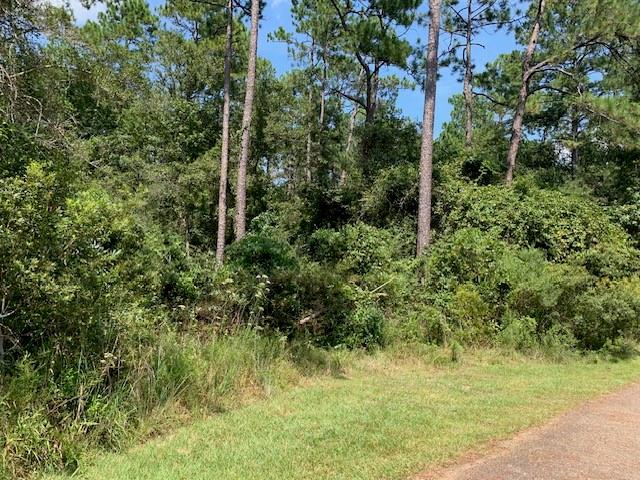 Crain Street, Abita Springs, Louisiana image 1