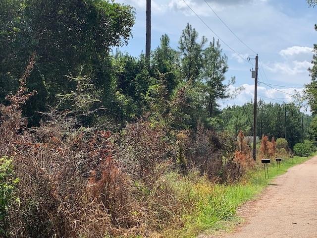 Crain Street, Abita Springs, Louisiana image 2