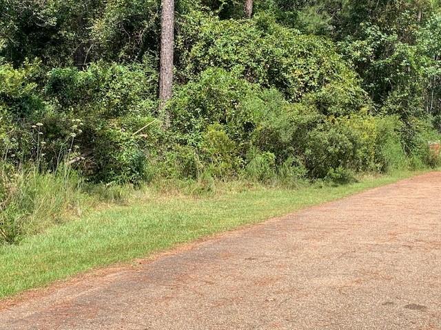 Crain Street, Abita Springs, Louisiana image 3