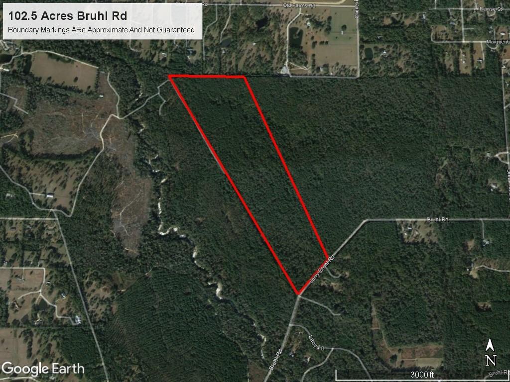 102 Acres Bruhl Road, Folsom, Louisiana image 4