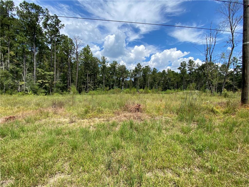 63069 Pine Meadow Drive, Amite, Louisiana image 9