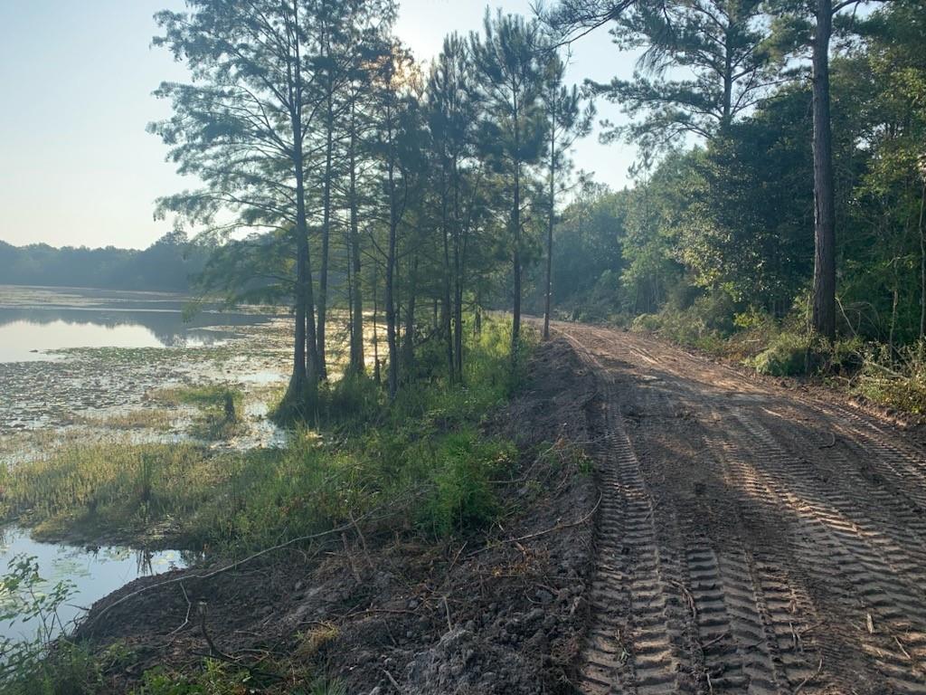 Hwy 435 (tract B) Highway, Abita Springs, Louisiana image 12