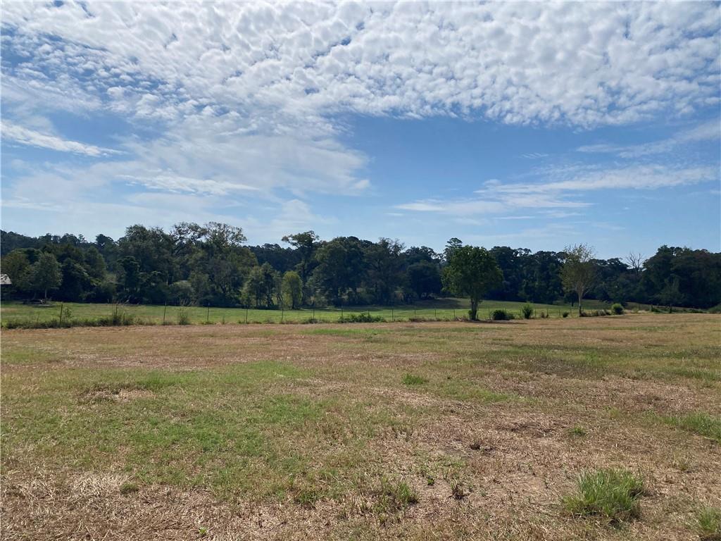 000 Hwy 1046 - 35.48 Acres, Amite, Louisiana image 4