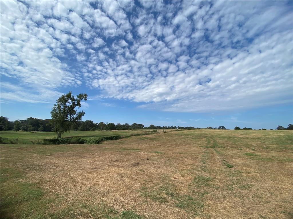 000 Hwy 1046 - 35.48 Acres, Amite, Louisiana image 8