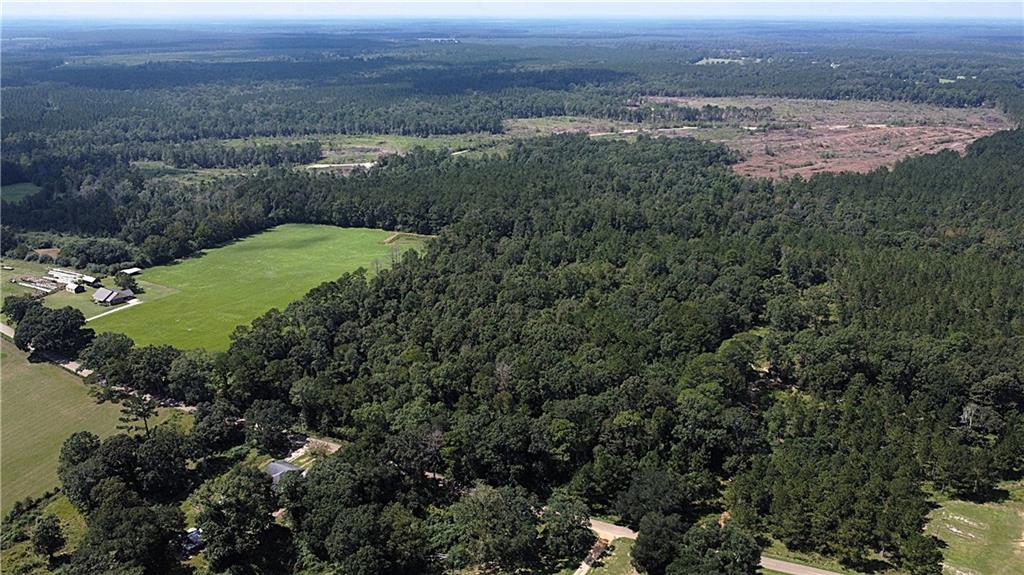 38 Acres Seven Mile Road, Franklinton, Louisiana image 3