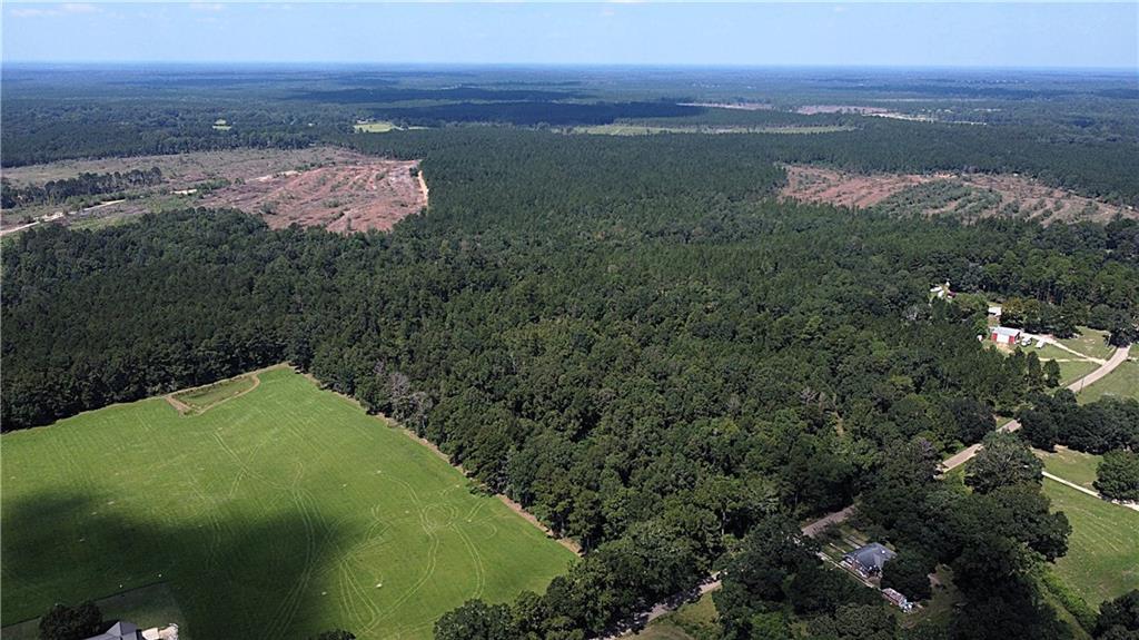 38 Acres Seven Mile Road, Franklinton, Louisiana image 4