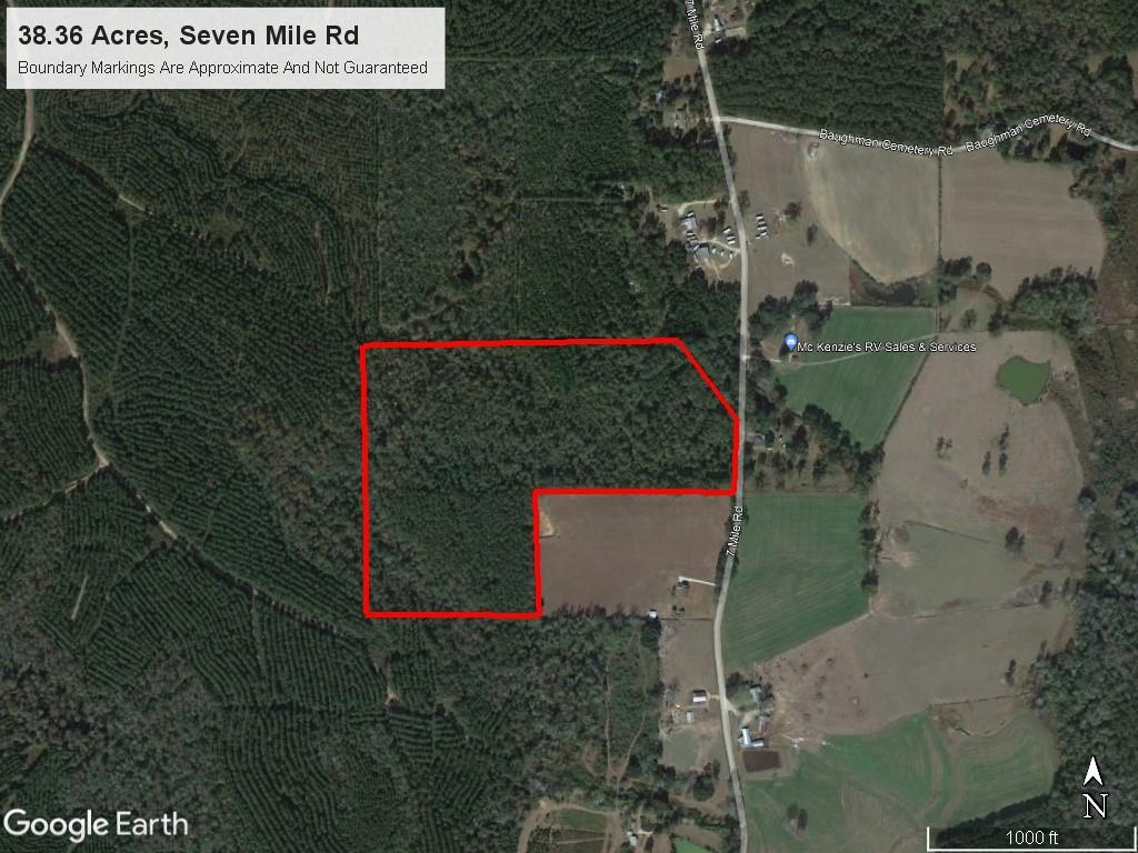 38 Acres Seven Mile Road, Franklinton, Louisiana image 5